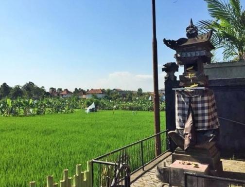 سمينياك Bali Green Hostel المظهر الخارجي الصورة